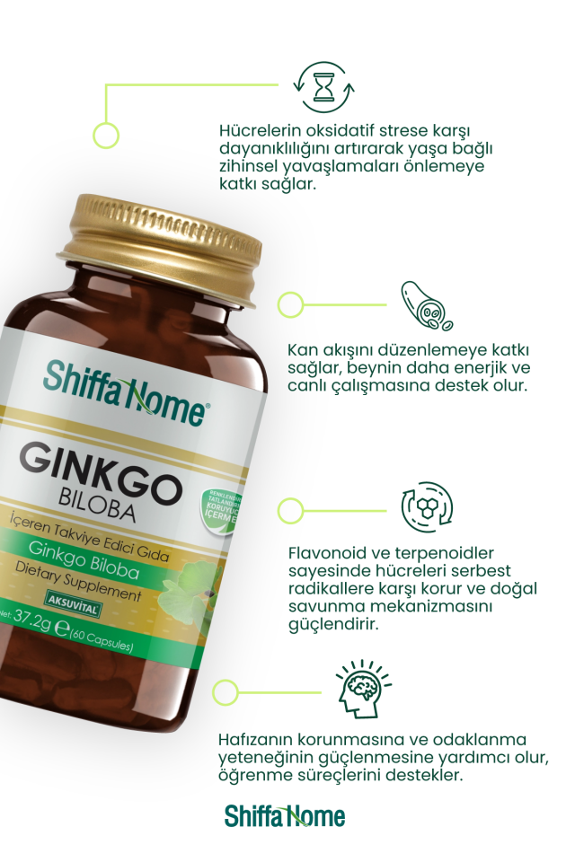AksuVital Shiffa Home Ginkgo Biloba 620mg 60 Kapsül