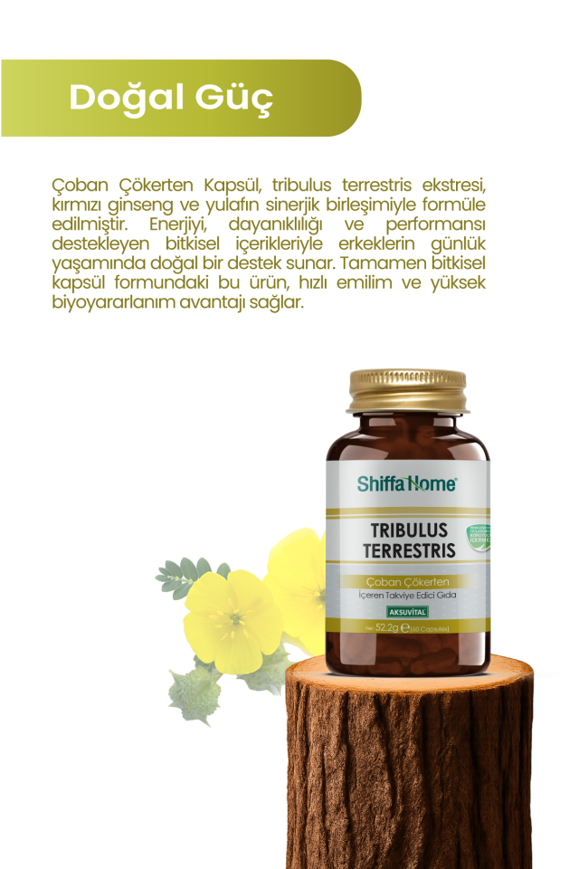 AksuVital Shiffa Home Tribulus Terrestris Çoban Çökerten 870mg 60 Kapsül
